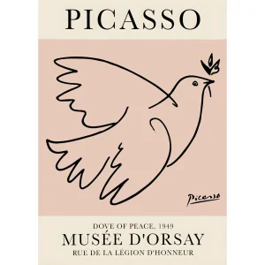 Picasso paloma rosa